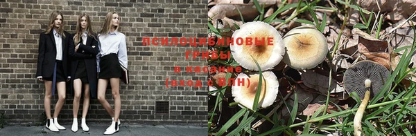 apvp Липки
