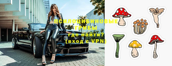 apvp Липки