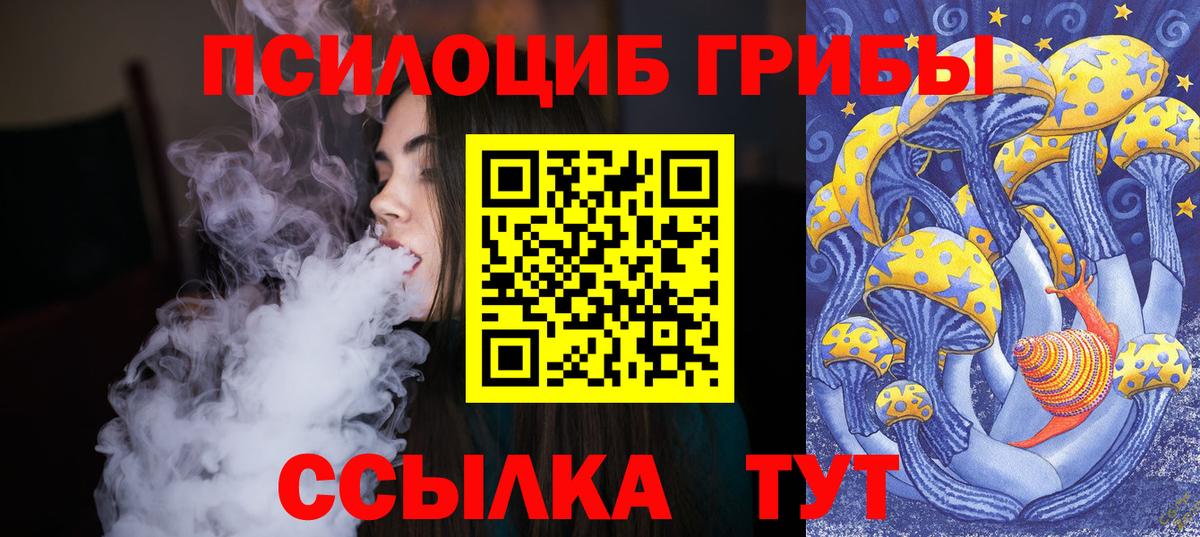 Галлюциногенные грибы Psilocybine cubensis Димитровград