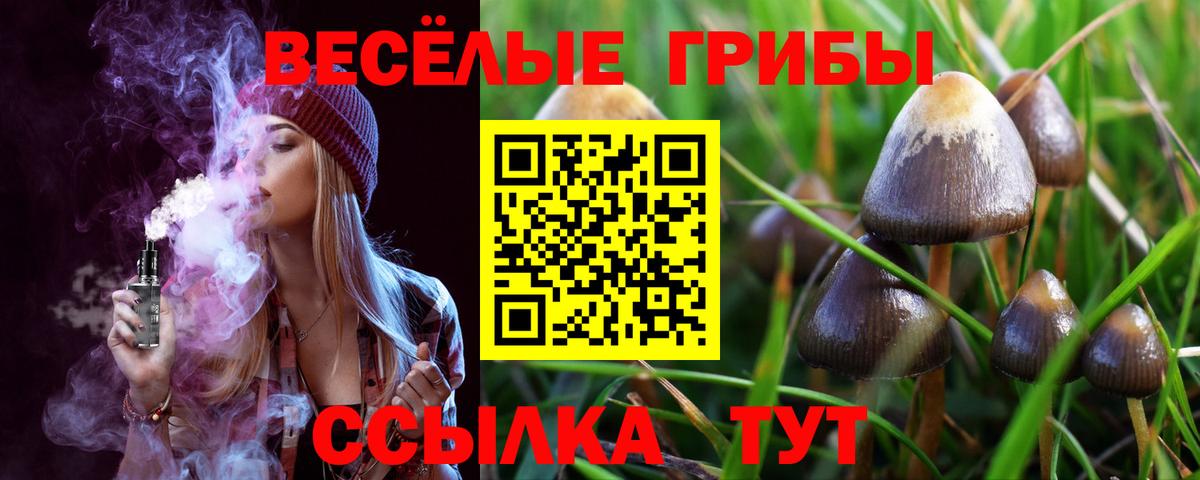 Псилоцибиновые грибы Psilocybe  Вход с VPN  Димитровград 