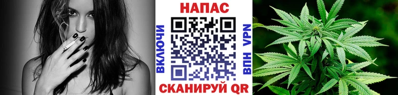 Марихуана Bruce Banner  Димитровград 